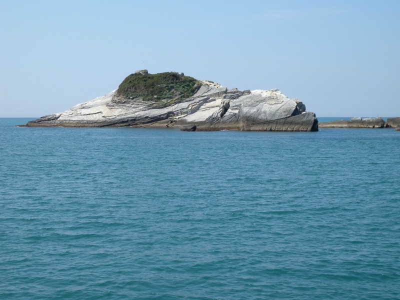 DSCN0552